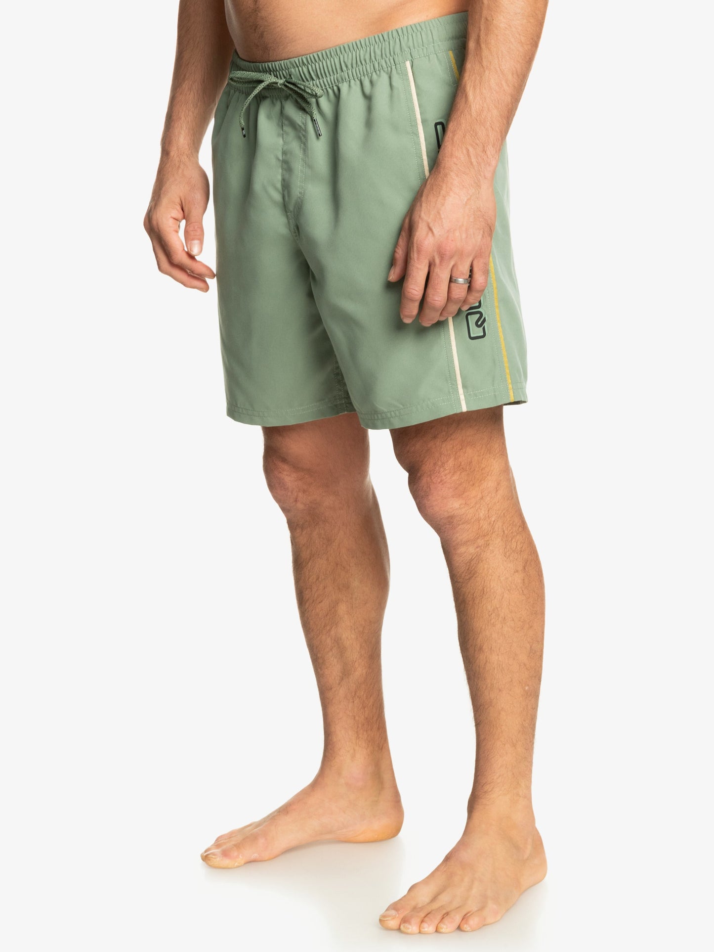 Mens Everyday Vert Volley 17" Swim Shorts - Quiksilver Singapore 