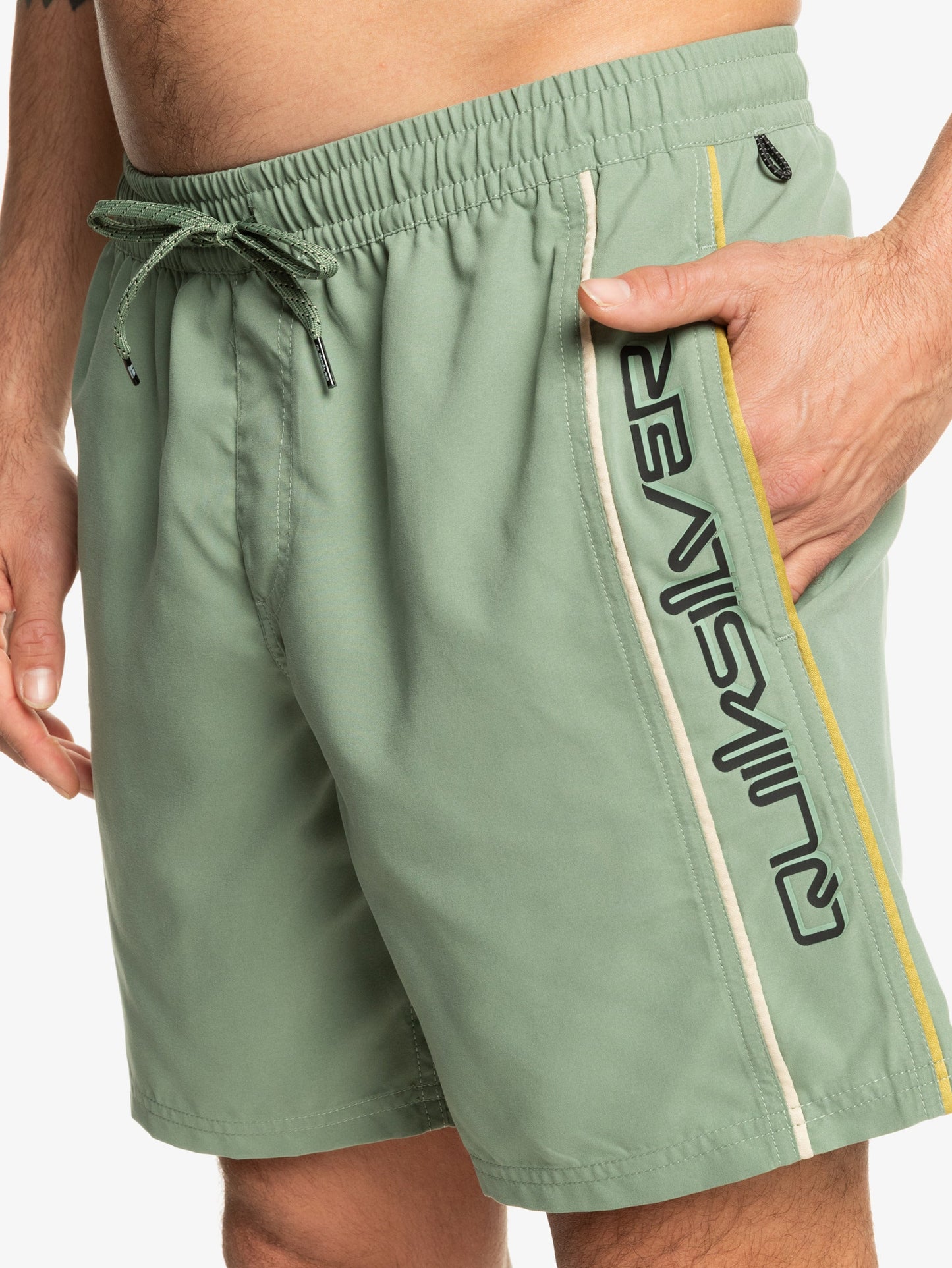 Mens Everyday Vert Volley 17" Swim Shorts - Quiksilver Singapore 