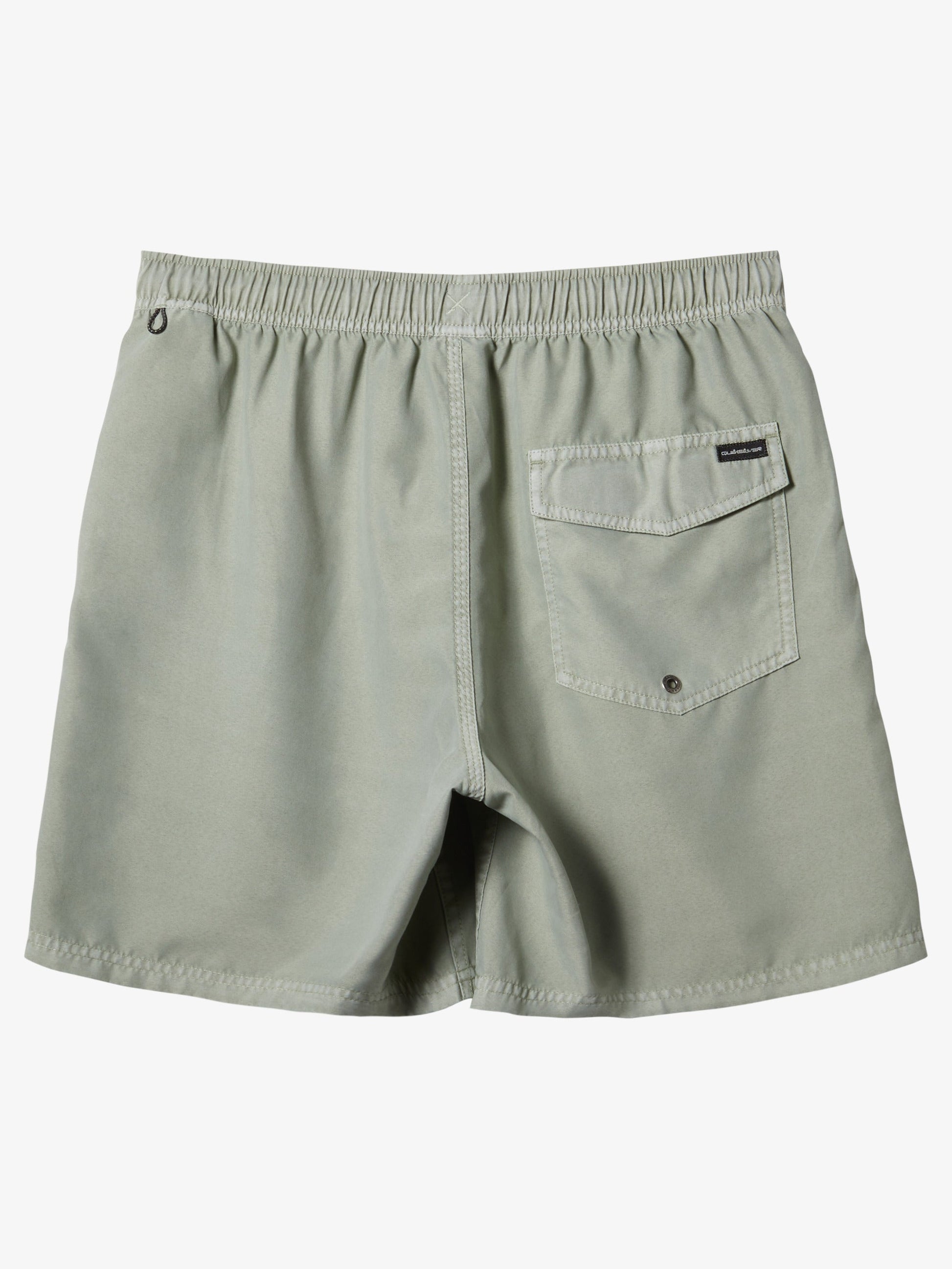 Mens Everyday Surfwash Volley 17" Swim Shorts - Quiksilver Singapore 