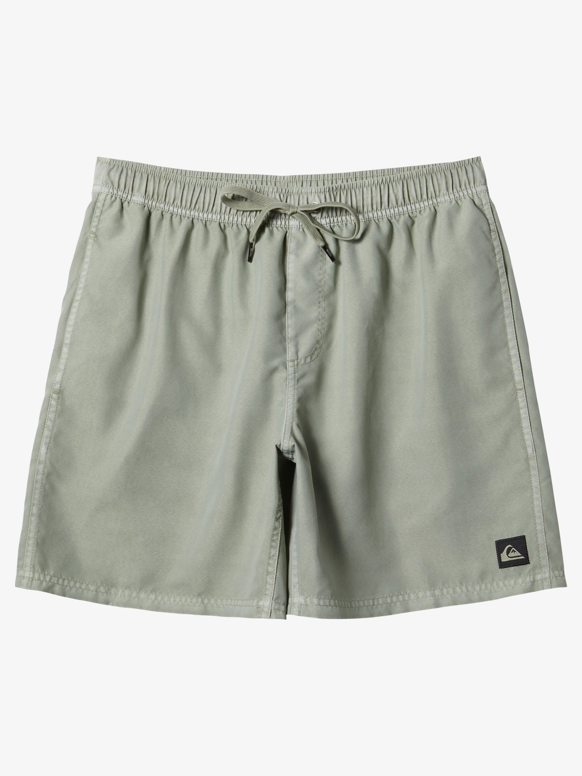 Mens Everyday Surfwash Volley 17" Swim Shorts - Quiksilver Singapore 