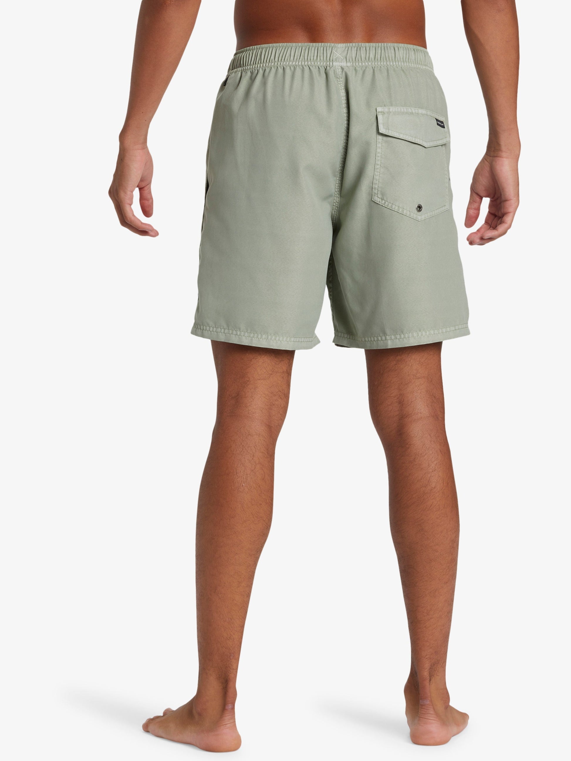 Mens Everyday Surfwash Volley 17" Swim Shorts - Quiksilver Singapore 