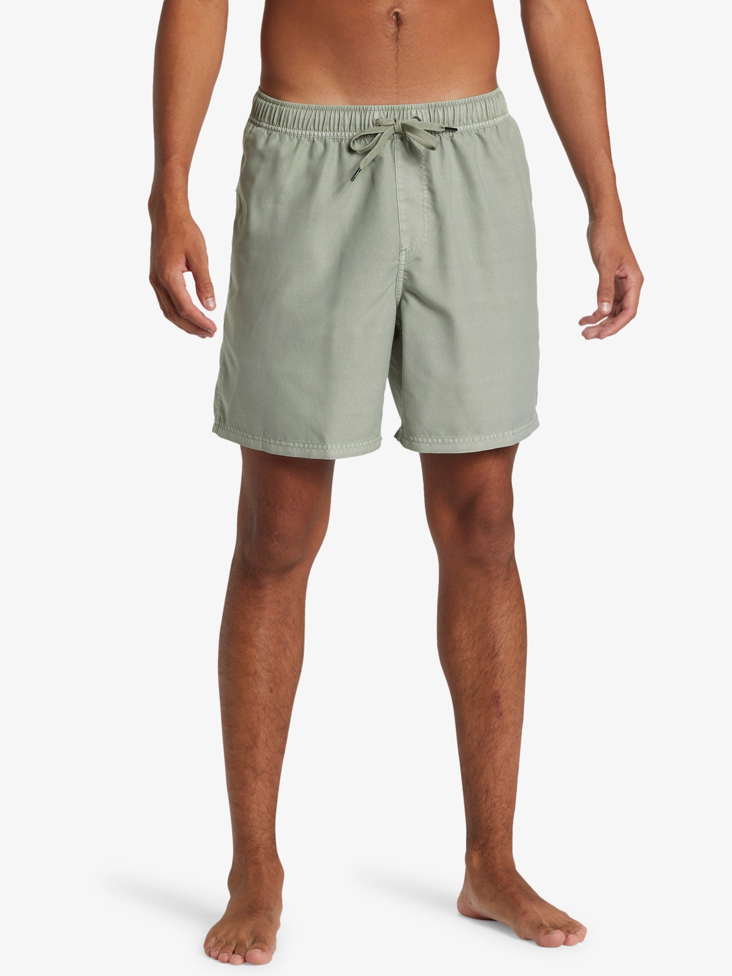 Mens Everyday Surfwash Volley 17" Swim Shorts - Quiksilver Singapore 