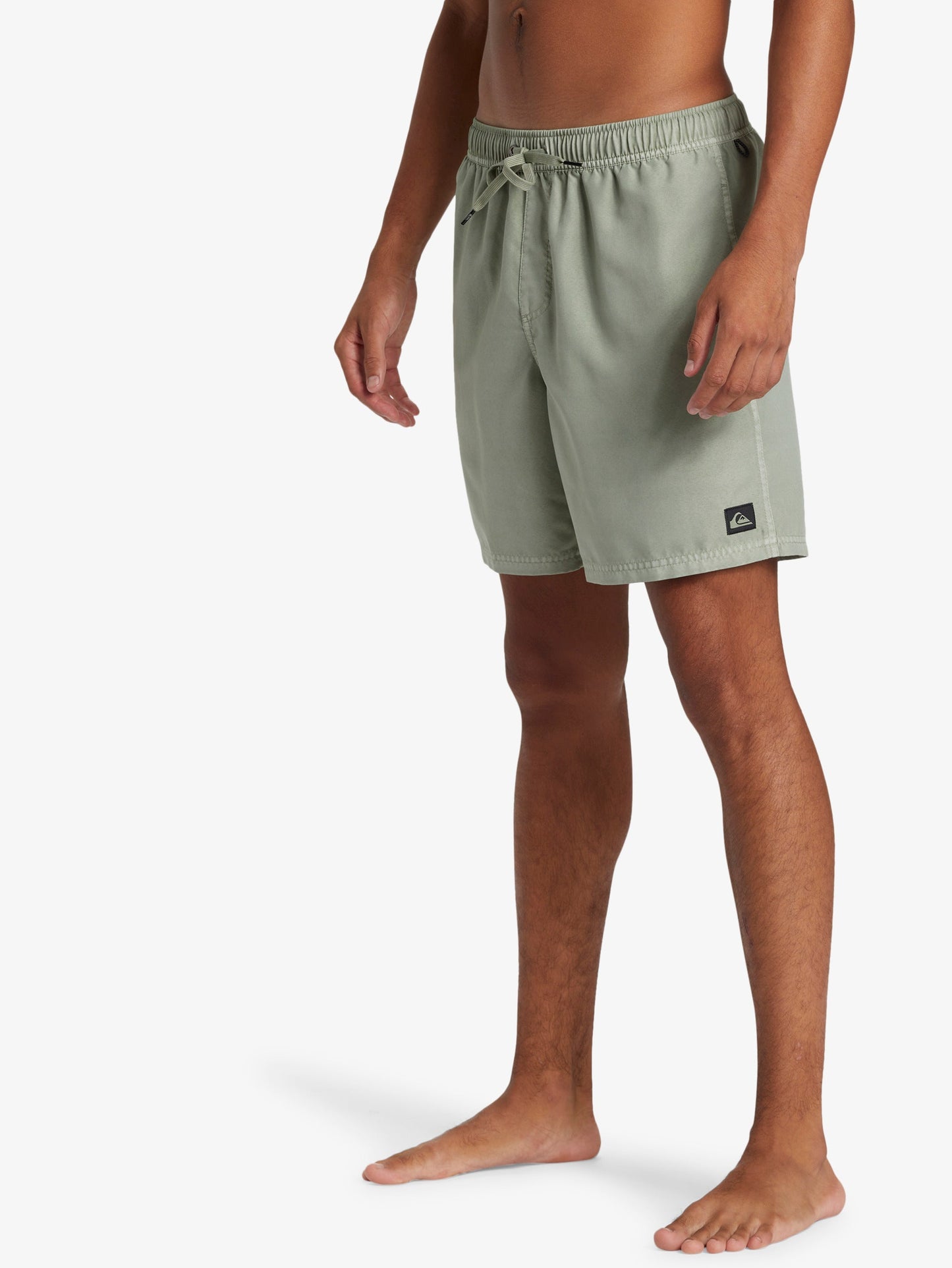 Mens Everyday Surfwash Volley 17" Swim Shorts - Quiksilver Singapore 