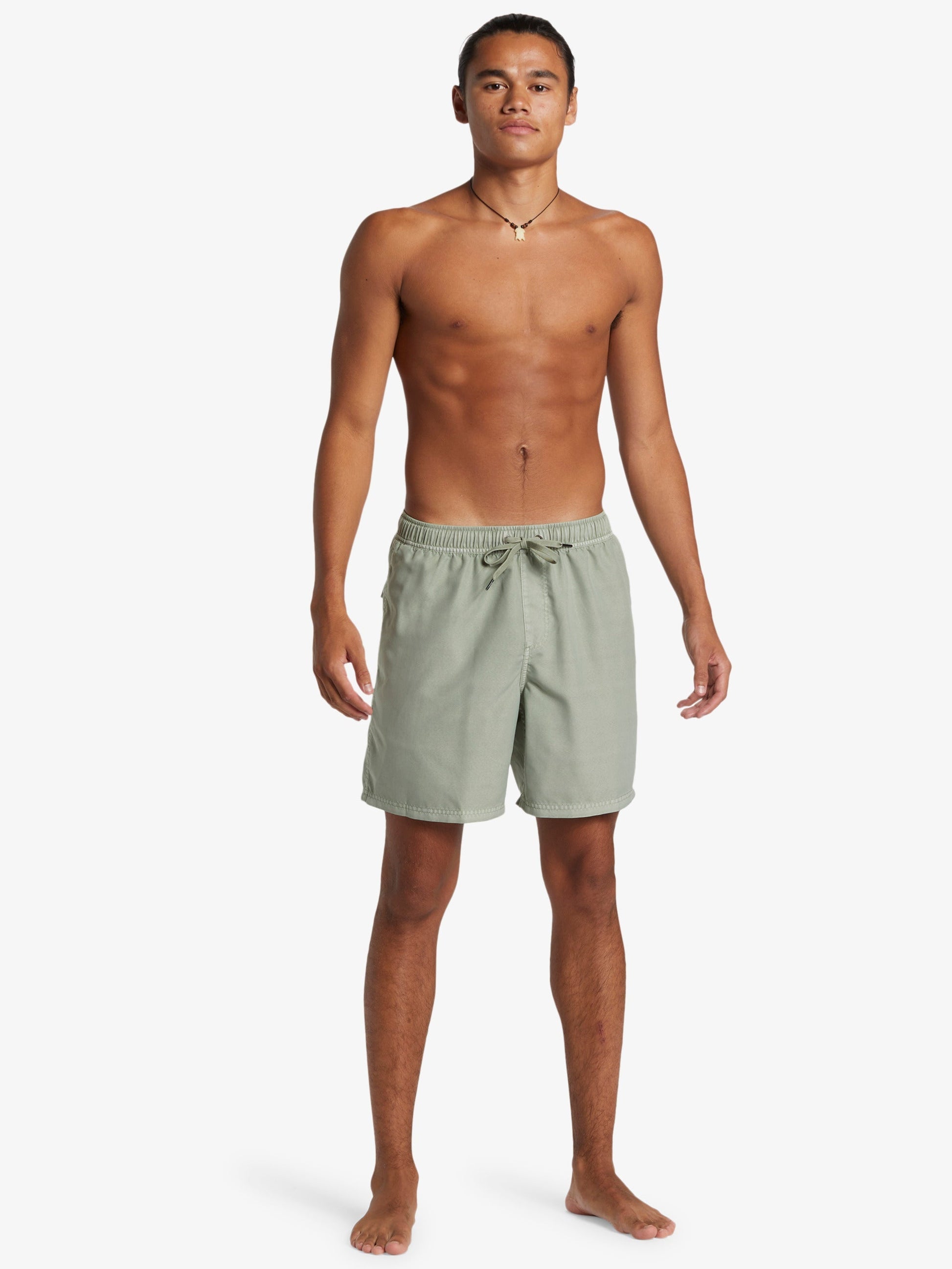 Mens Everyday Surfwash Volley 17" Swim Shorts - Quiksilver Singapore 