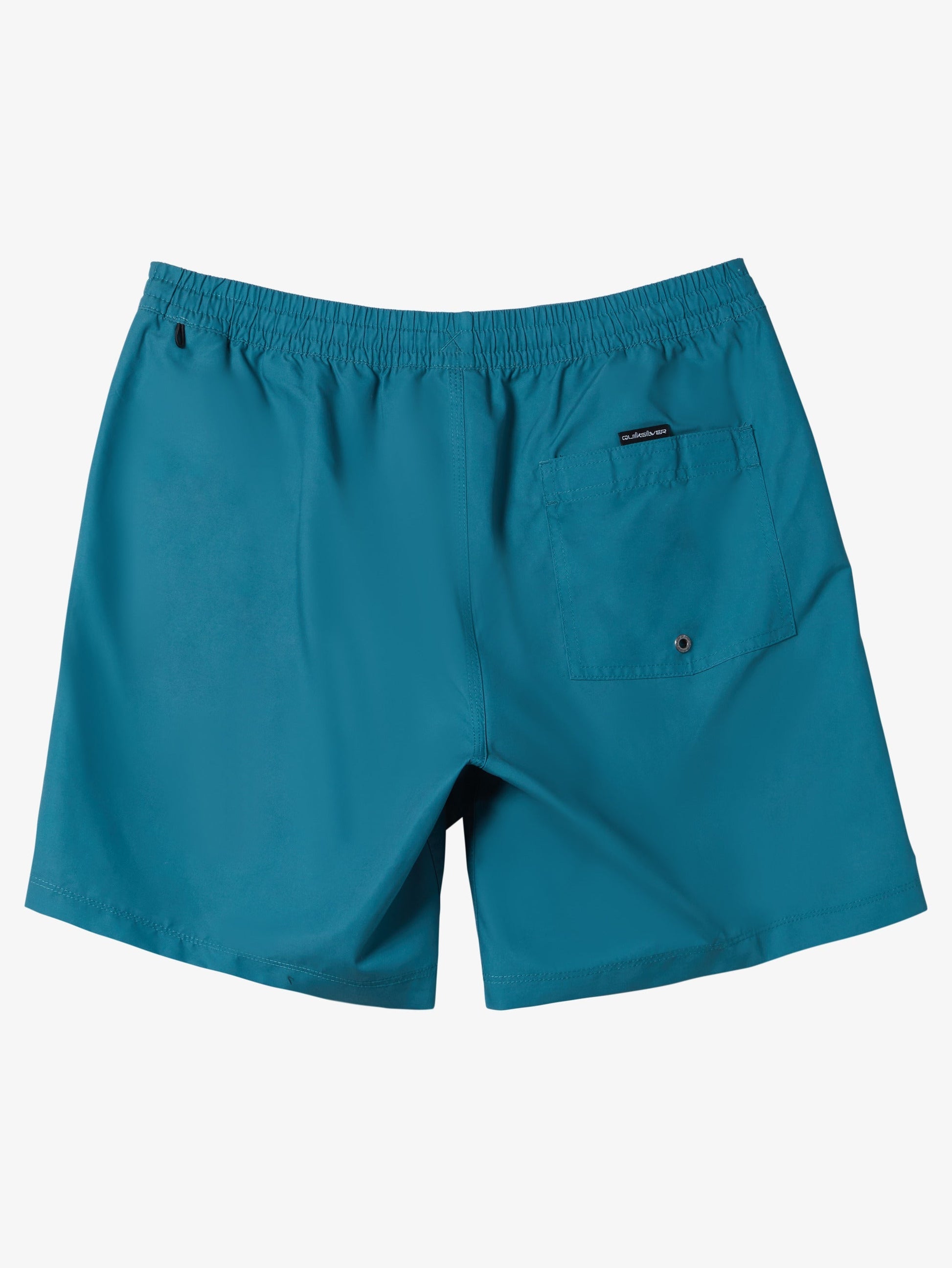 Mens Everyday Solid Volley 15" Swim Shorts - Quiksilver Singapore 