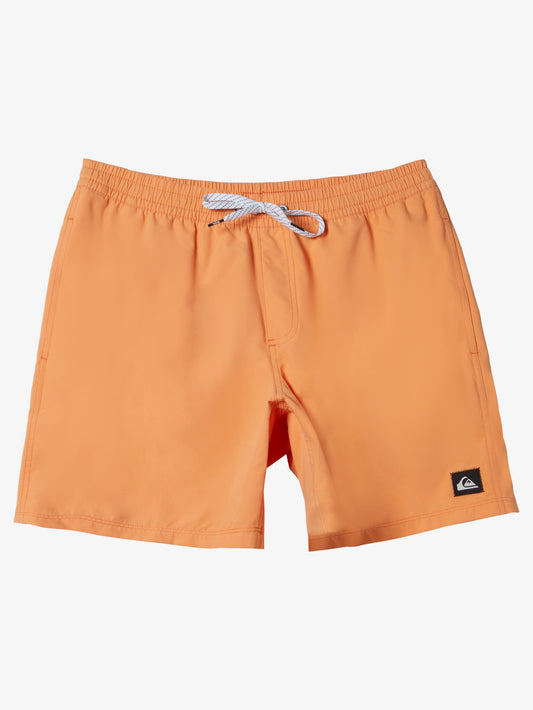 Mens Everyday Solid Volley 15" Swim Shorts - Quiksilver Singapore 