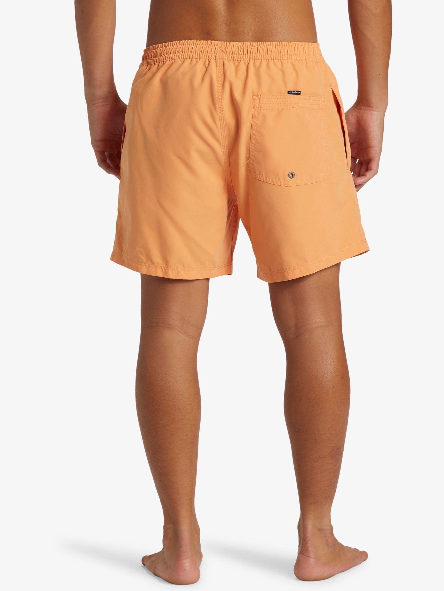 Mens Everyday Solid Volley 15" Swim Shorts - Quiksilver Singapore 