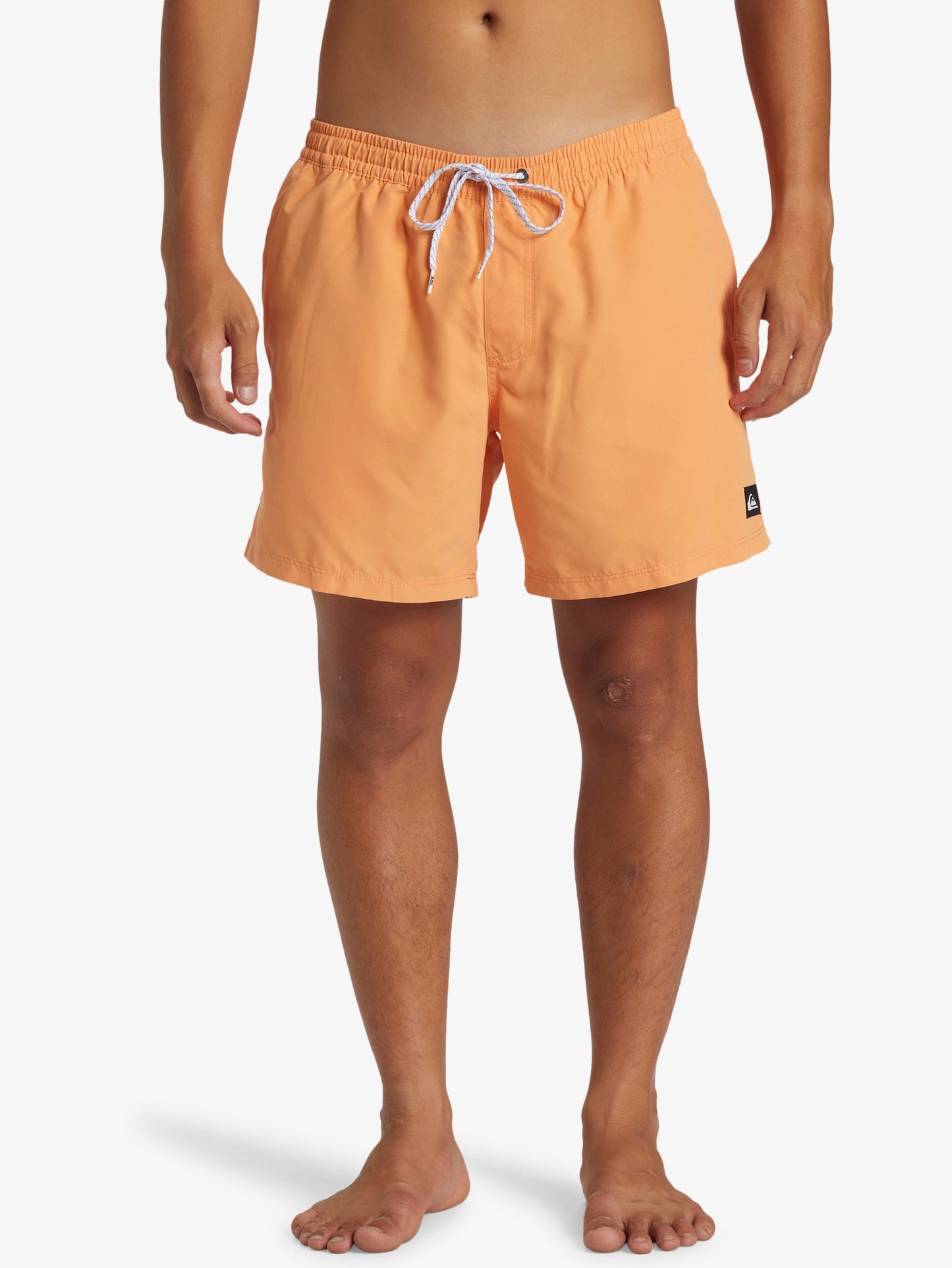 Mens Everyday Solid Volley 15" Swim Shorts - Quiksilver Singapore 