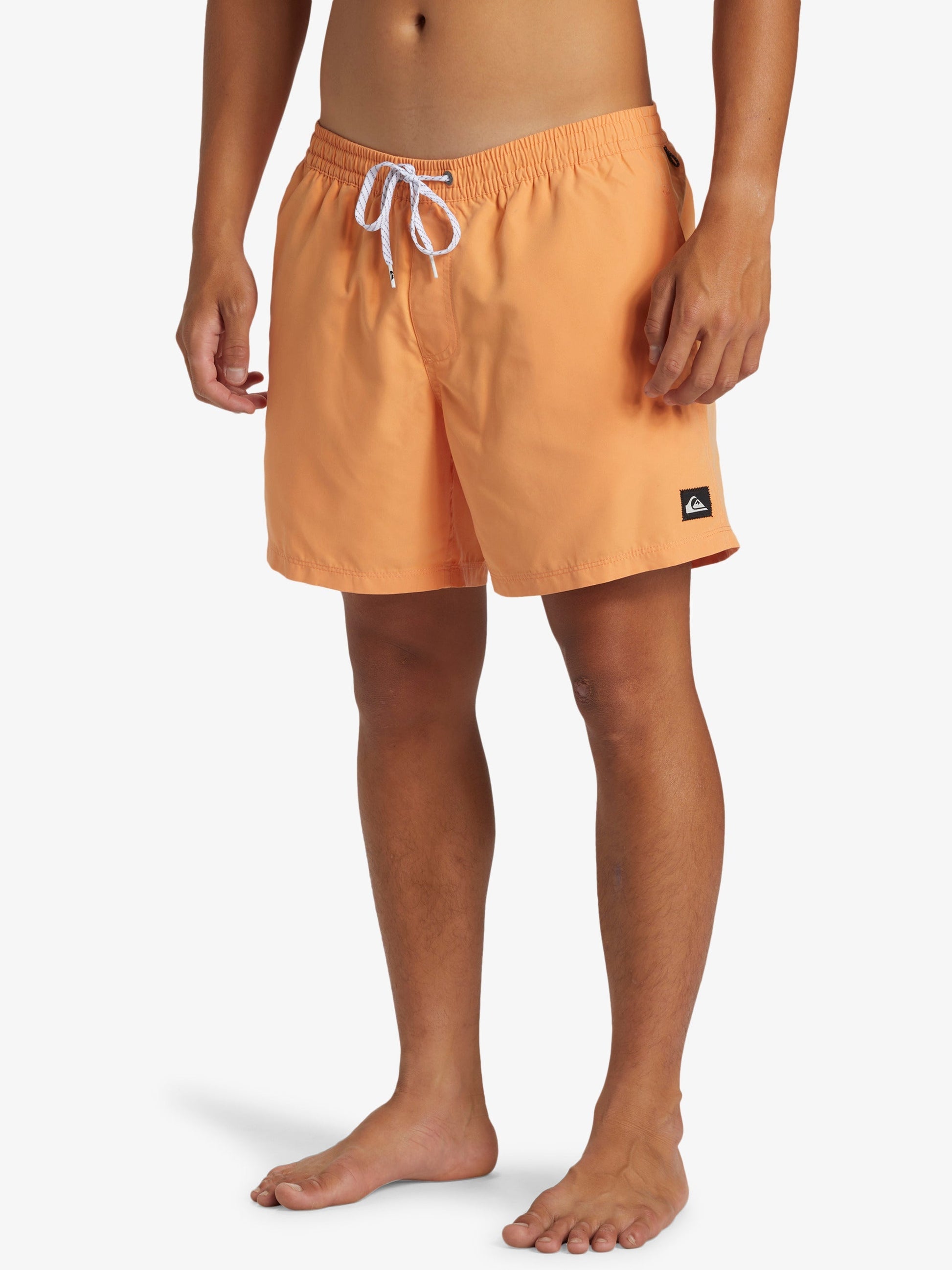 Mens Everyday Solid Volley 15" Swim Shorts - Quiksilver Singapore 