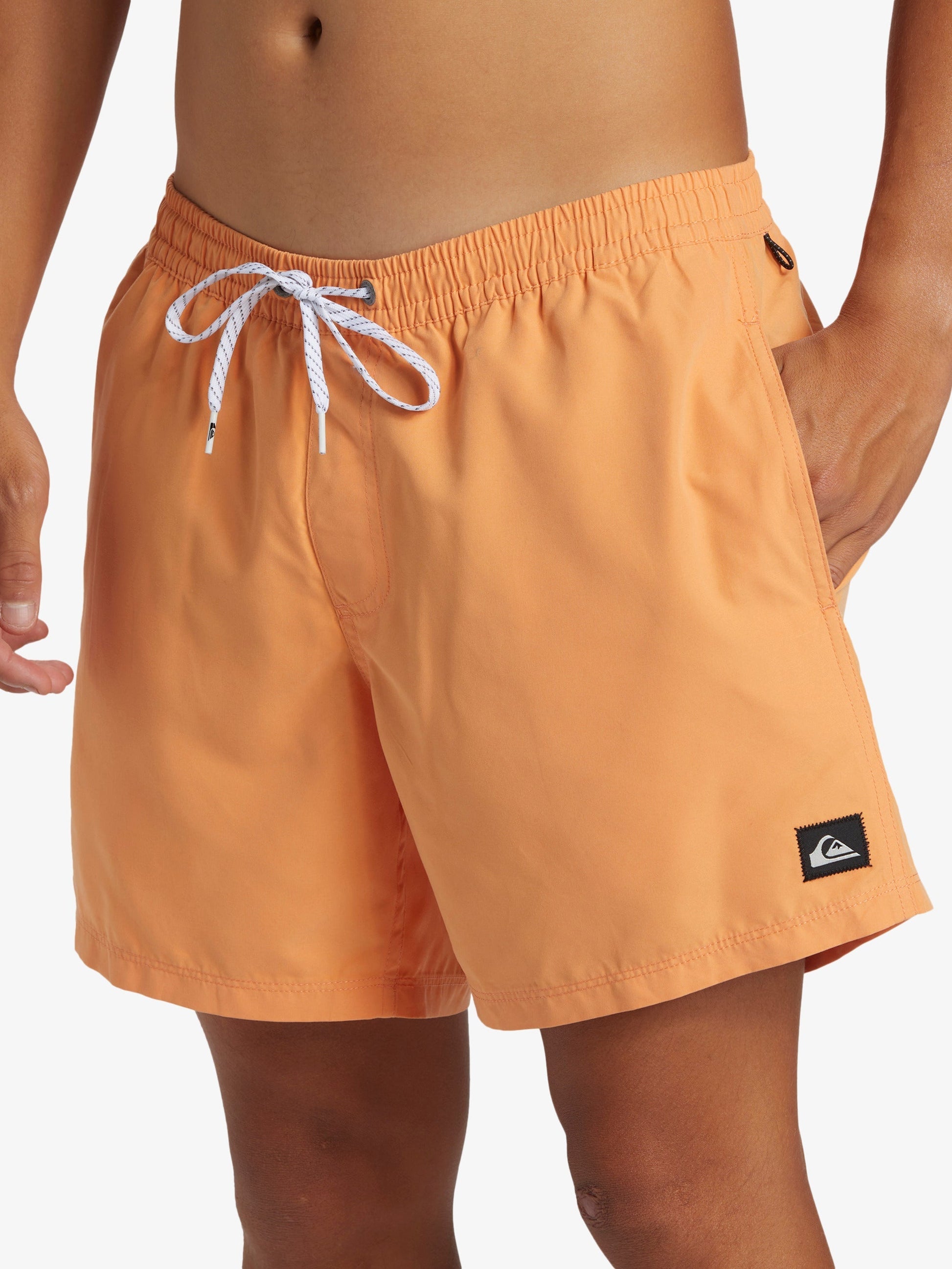 Mens Everyday Solid Volley 15" Swim Shorts - Quiksilver Singapore 