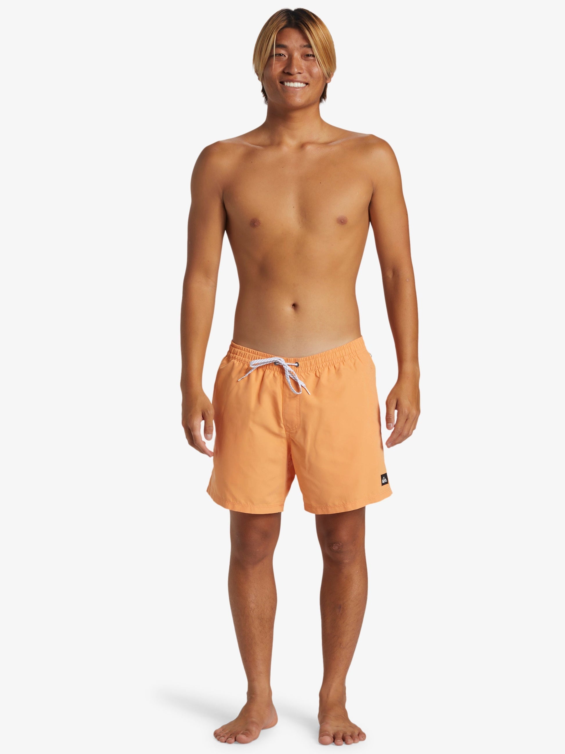 Mens Everyday Solid Volley 15" Swim Shorts - Quiksilver Singapore 