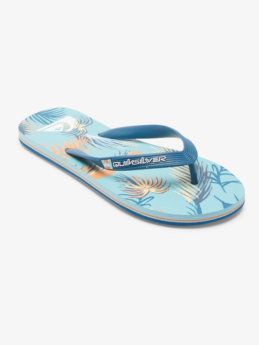 Mens Molokai Art Gregg Kaplan Flip-Flops - Quiksilver Singapore 