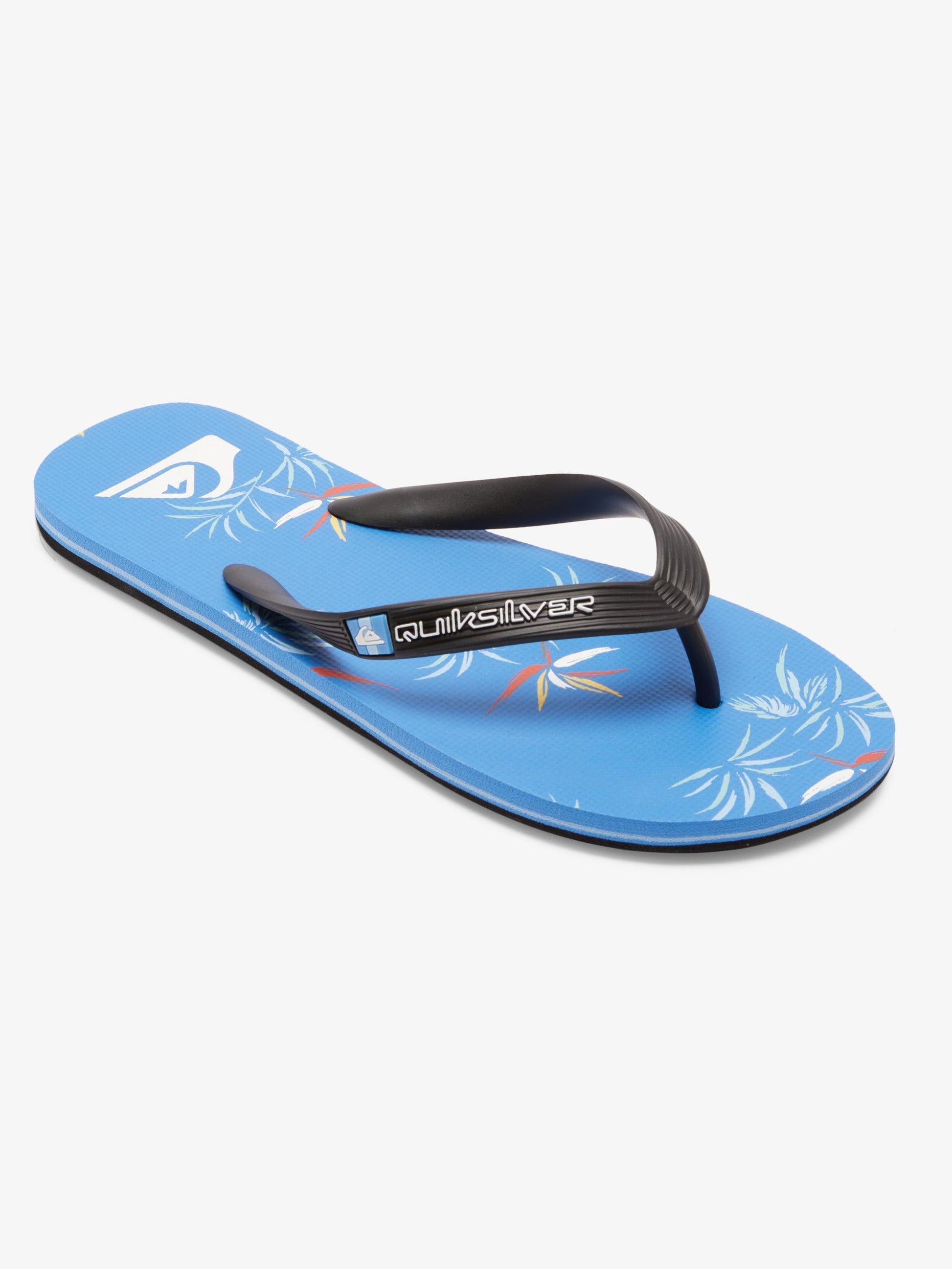 Mens Molokai Art Gregg Kaplan Flip-Flops - Quiksilver Singapore 