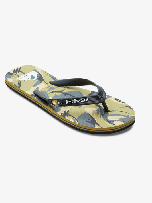 Mens Molokai Art Gregg Kaplan Flip-Flops - Quiksilver Singapore 