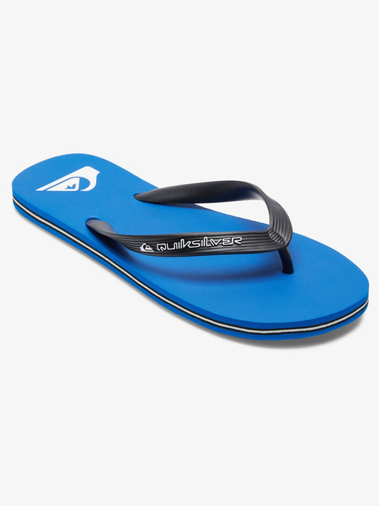 Mens Molokai Core Flip Flops - Quiksilver Singapore 