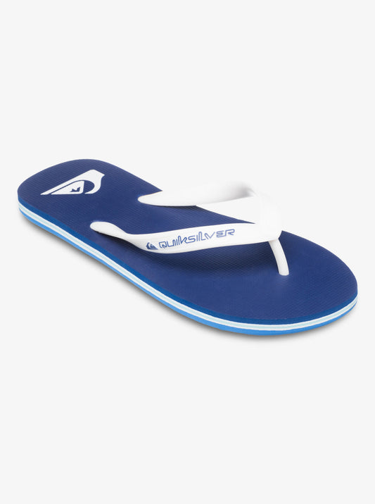 Mens Molokai Core Flip Flops - Quiksilver Singapore