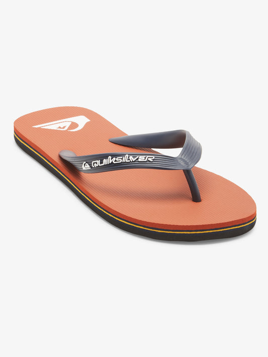 Mens Molokai Core Flip Flops - Quiksilver Singapore