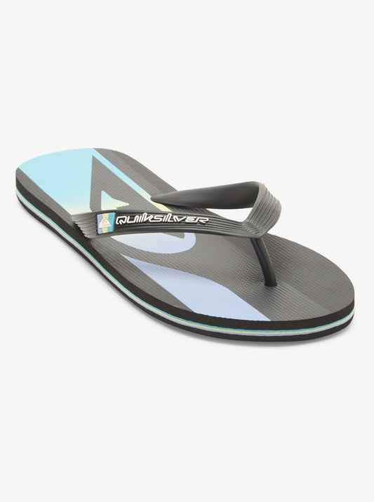 Mens Molokai Stripe Flip Flops - Quiksilver Singapore