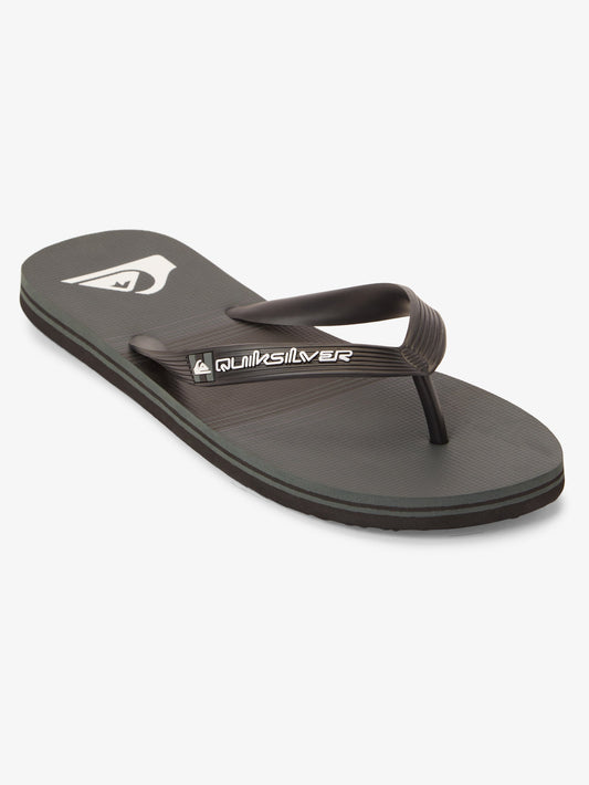 Mens Molokai Stripe Beach Flip Flops - Quiksilver Singapore 