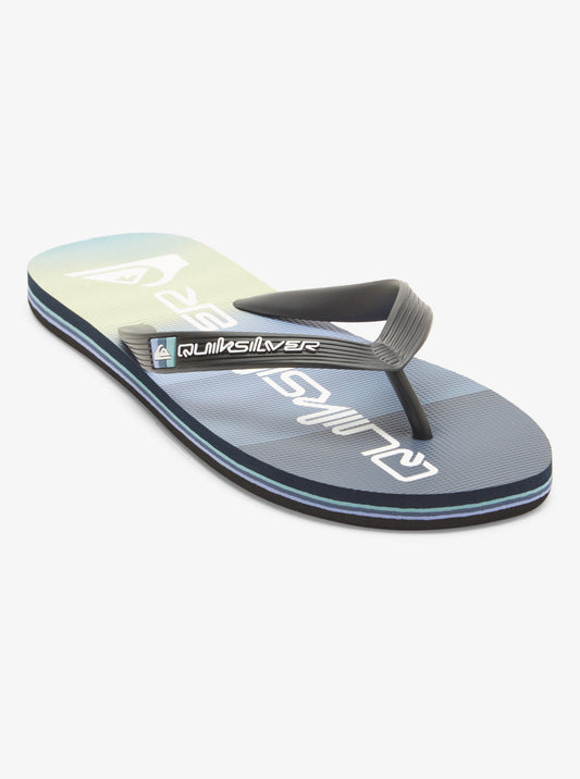 Mens Molokai Stripe Flip Flops - Quiksilver Singapore 