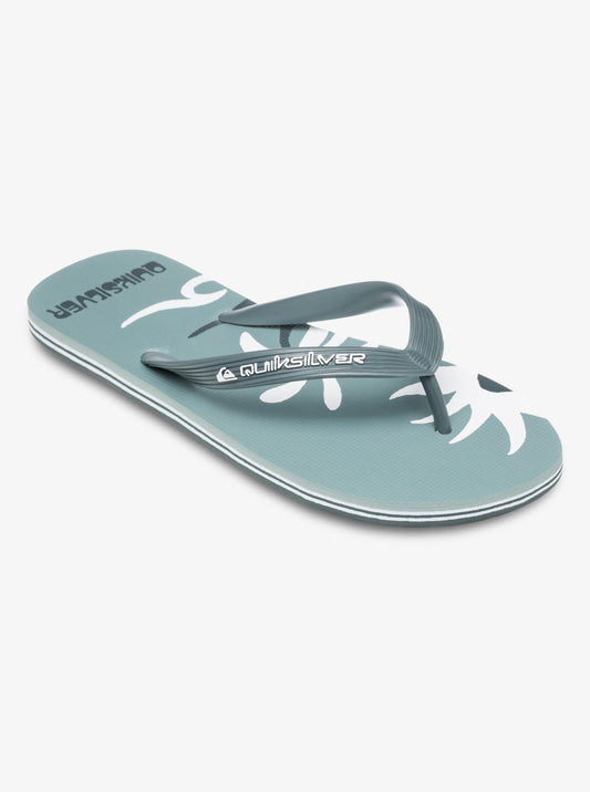 Mens Molokai Screen Flip Flops - Quiksilver Singapore 