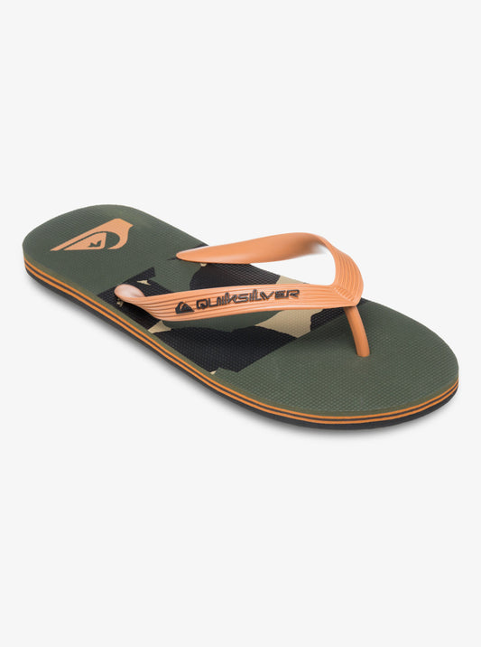 Mens Molokai Stripe 25 Flip Flops - Quiksilver Singapore 
