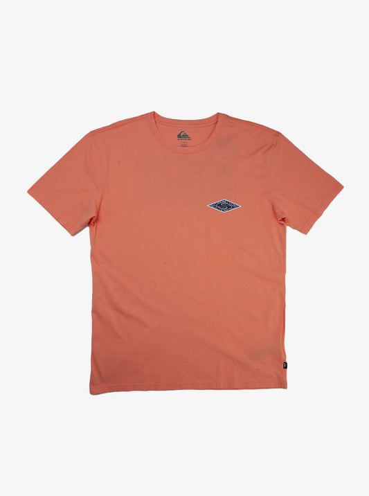 Mens Fossilized Short Sleeves Tee - Quiksilver Singapore 