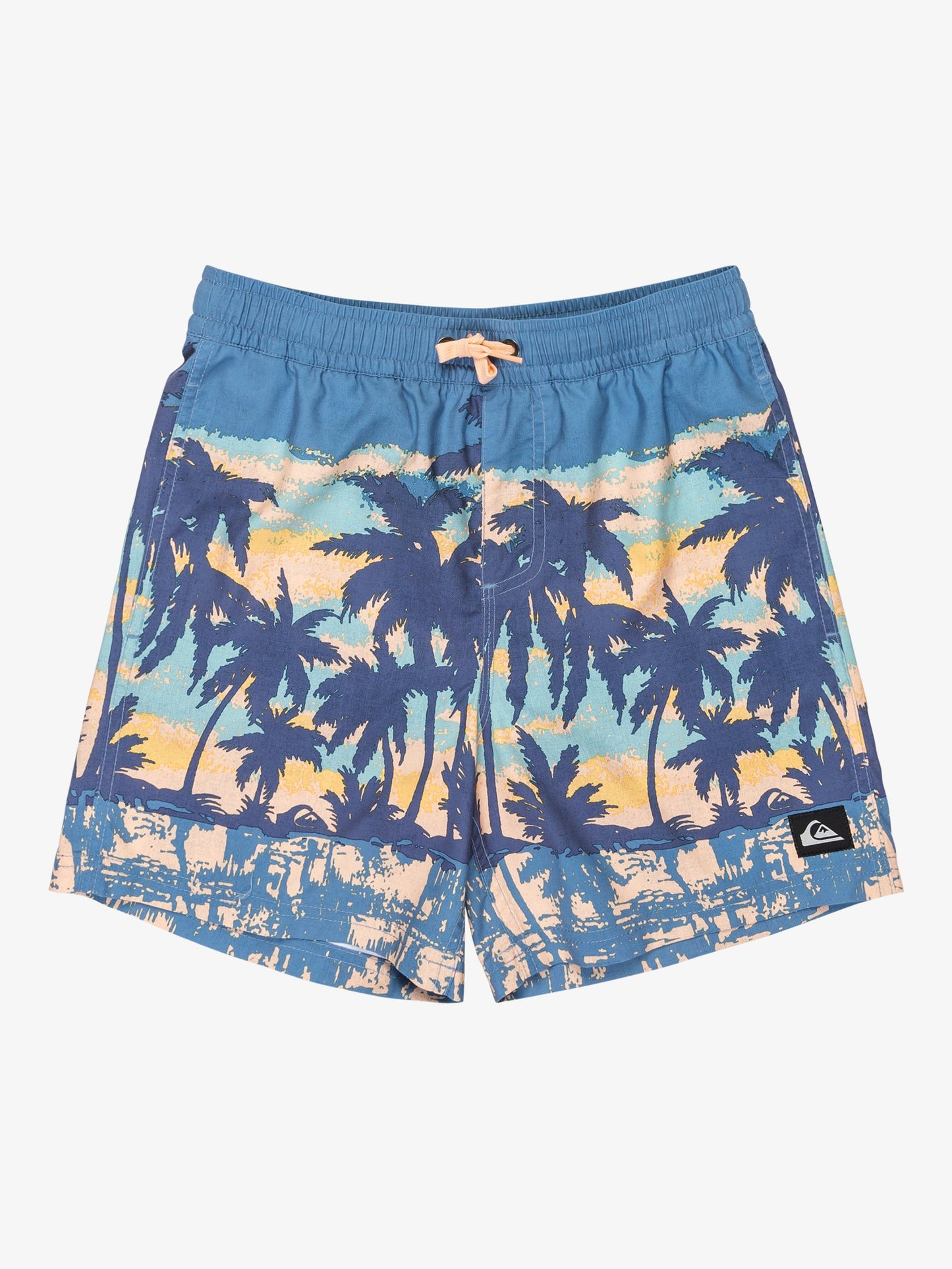Boys Everyday Straight 14" Swim Shorts - Quiksilver Singapore 