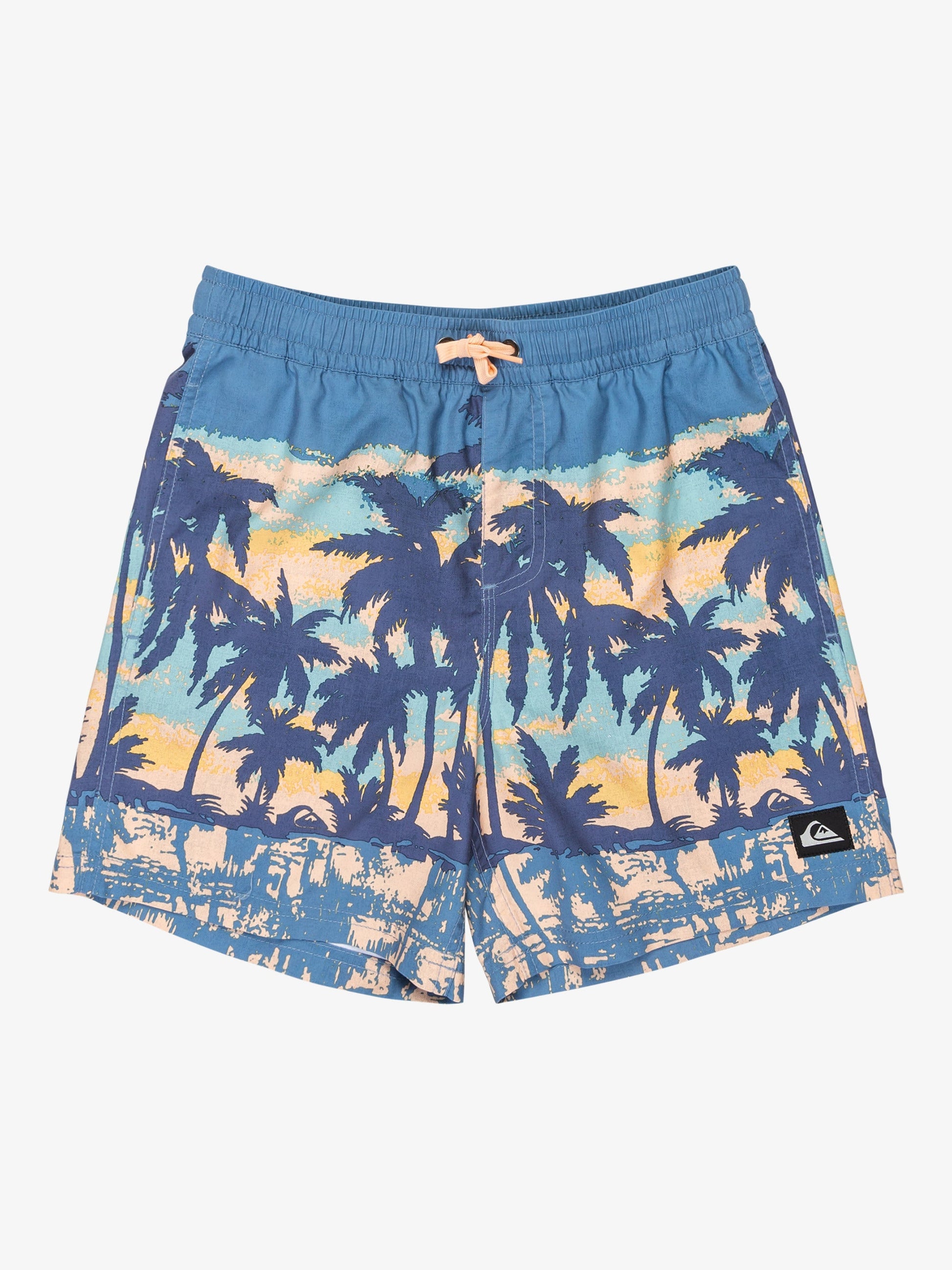 Boys Everyday Straight 14" Swim Shorts - Quiksilver Singapore 