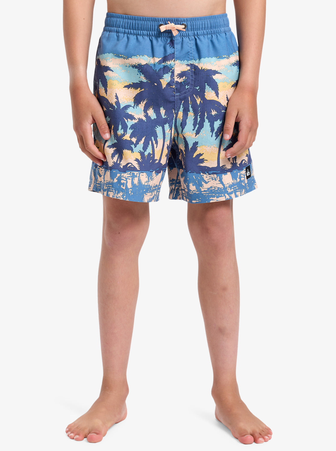 Boys Everyday Straight 14" Swim Shorts - Quiksilver Singapore 
