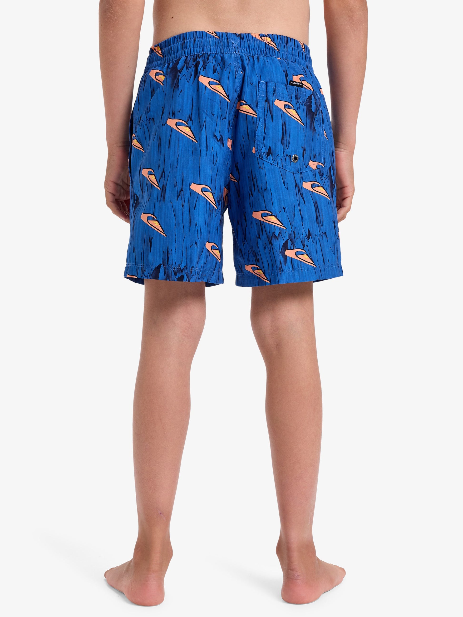 Boys Next Gen 14" Swim Shorts - Quiksilver Singapore 