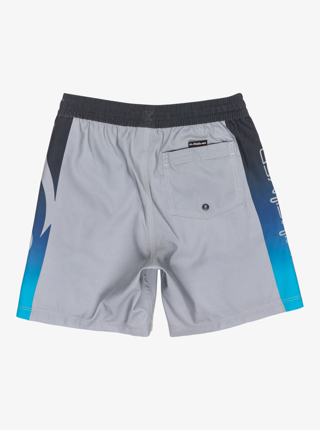 Boys 8-16 Everyday Volley 15" Swim Shorts - Quiksilver Singapore 