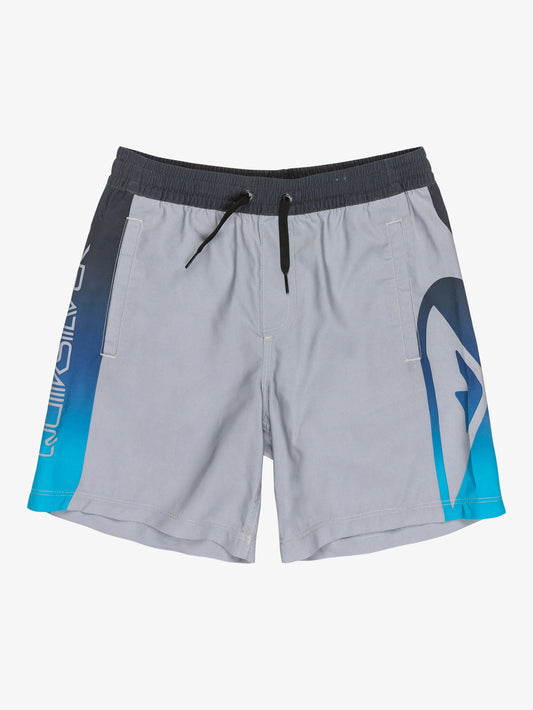 Boys 8-16 Everyday Volley 15" Swim Shorts - Quiksilver Singapore 