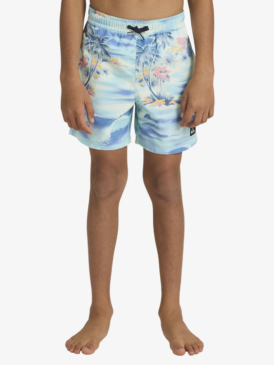 Boys 8-16 Everyday 14" Swim Shorts - Quiksilver Singapore 