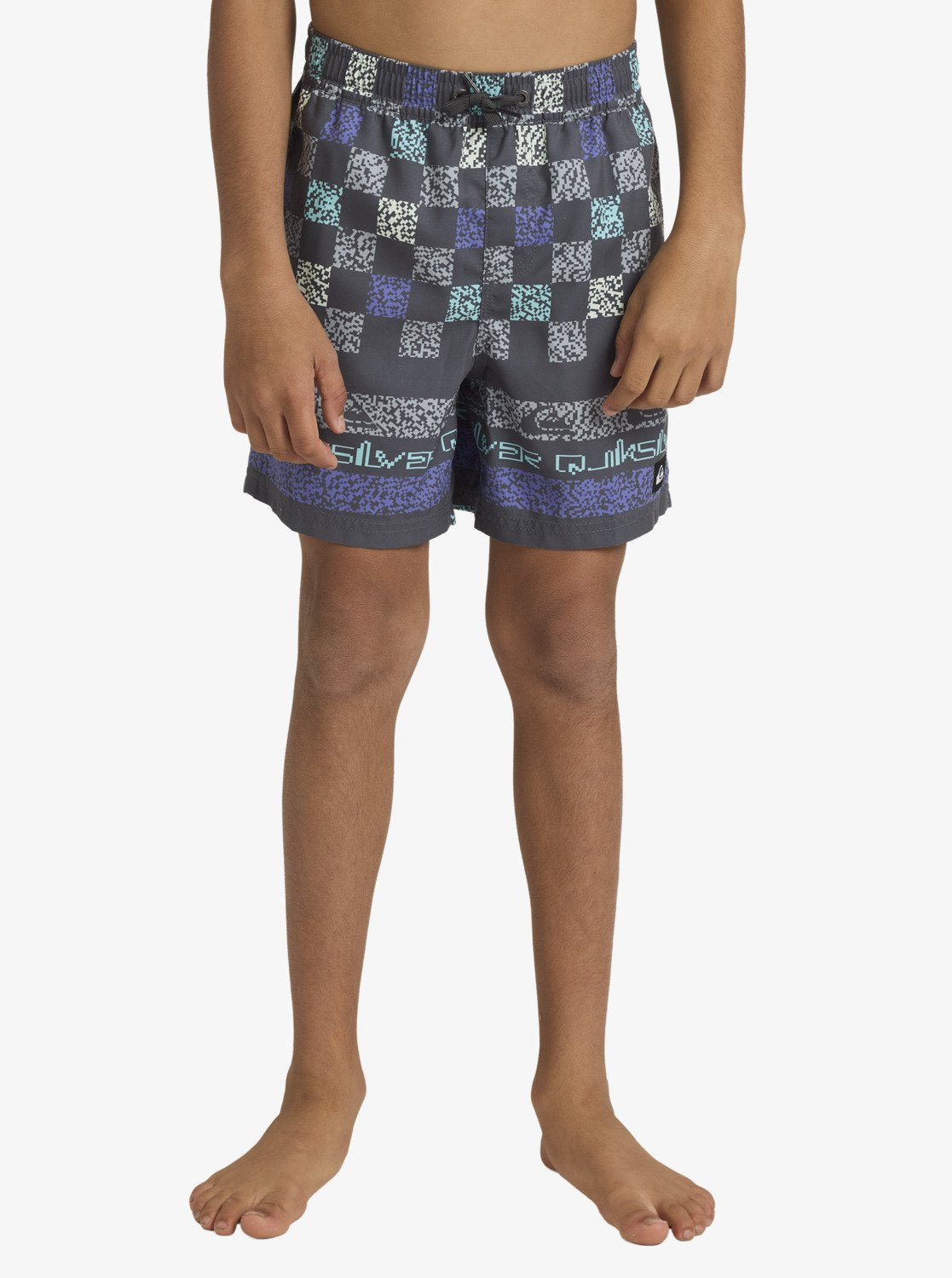 Boys 8-16 Everyday 14" Swim Shorts - Quiksilver Singapore 