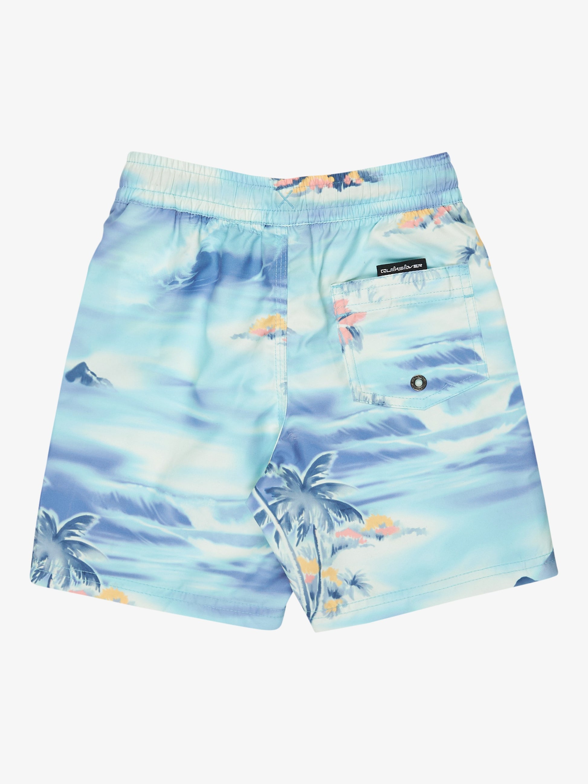 Boys 2-7 Everyday Straight 13" Swim Shorts - Quiksilver Singapore 