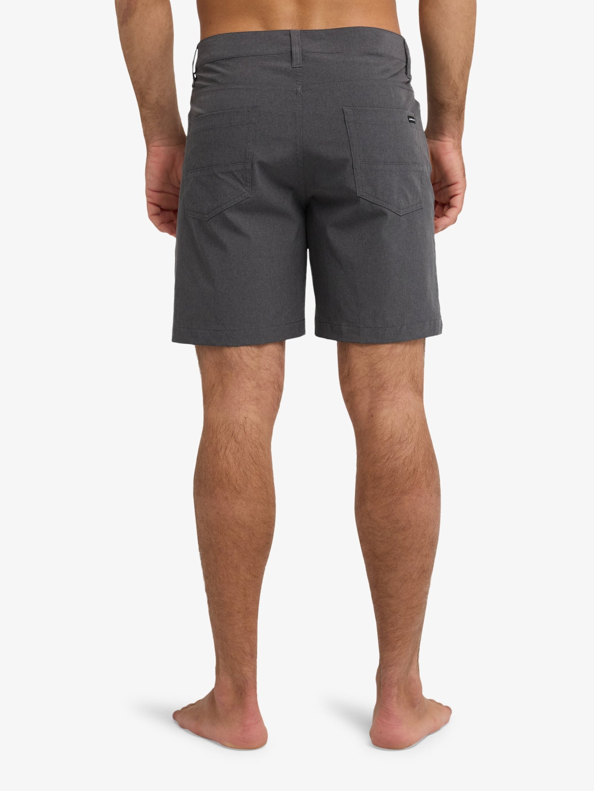 Mens Nelson Amph 18" Amphibian Boardshorts - Quiksilver Singapore 
