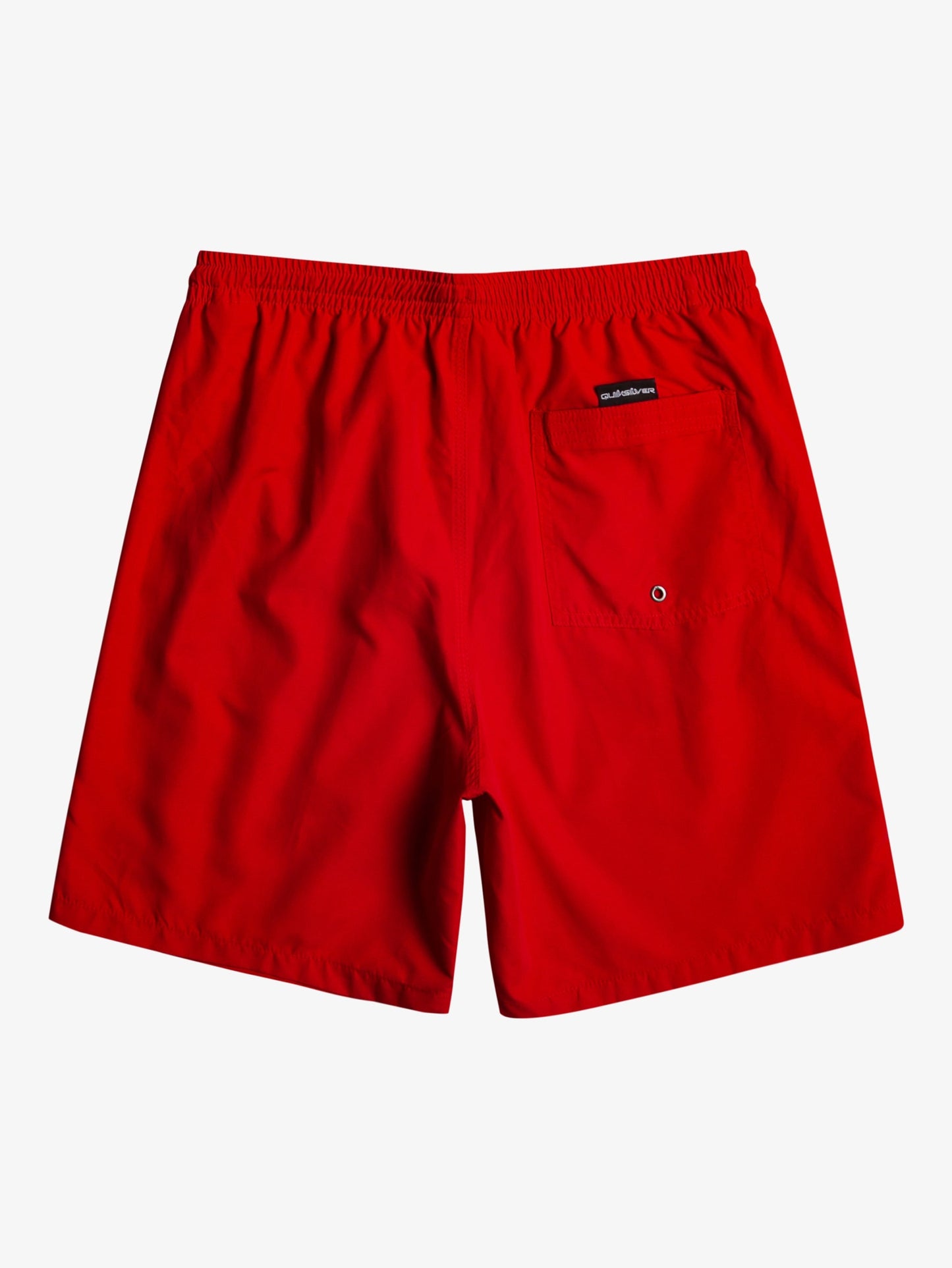 Mens Everyday 15" Swim Shorts - Quiksilver Singapore 