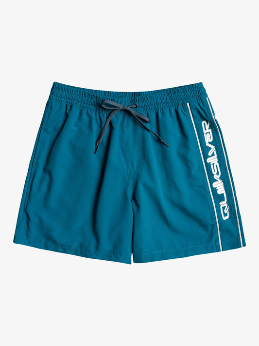 Mens Everyday Vert 16" Swim Shorts - Quiksilver Singapore 