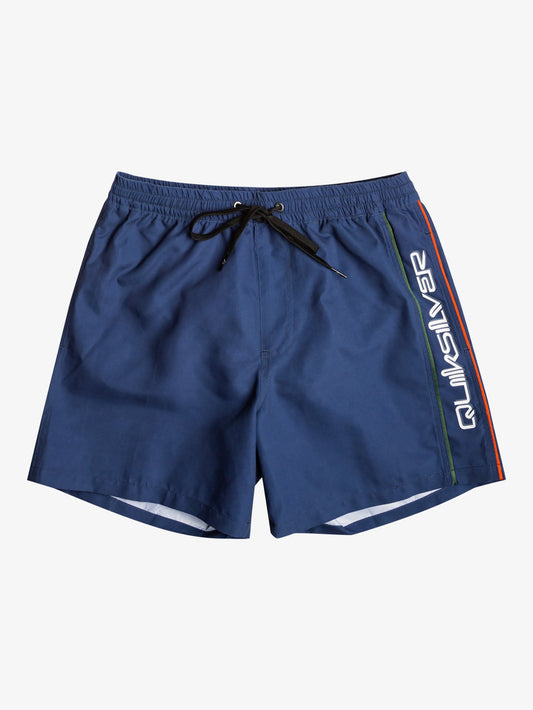 Mens Everyday Vert 16" Swim Shorts - Quiksilver Singapore 