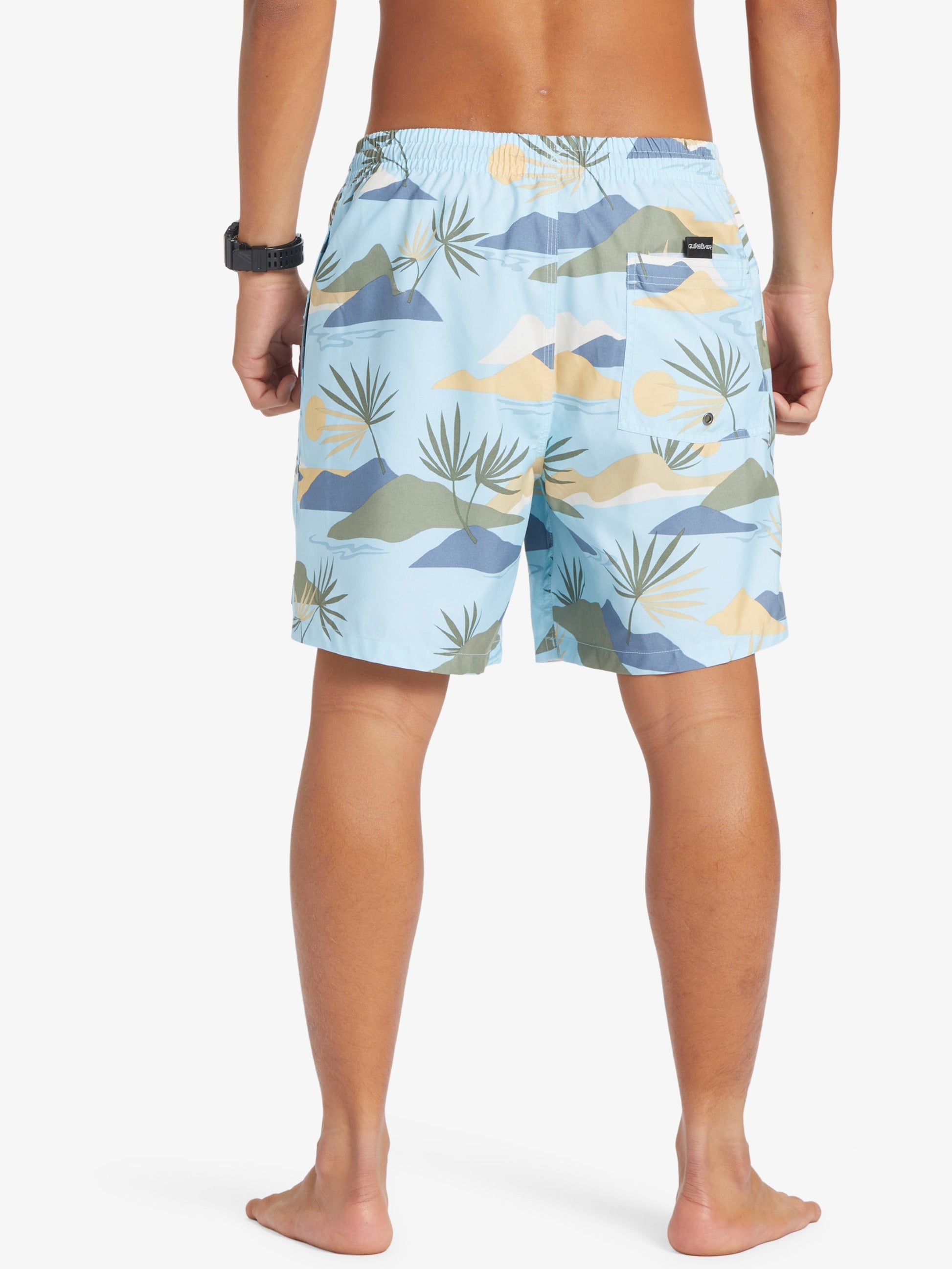 Mens Everyday Mix 17" Volleys - Quiksilver Singapore 