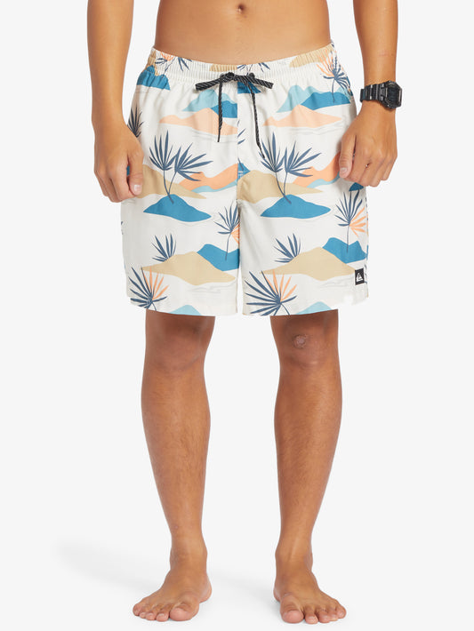 Mens Everyday Mix 17" Swim Shorts - Quiksilver Singapore 