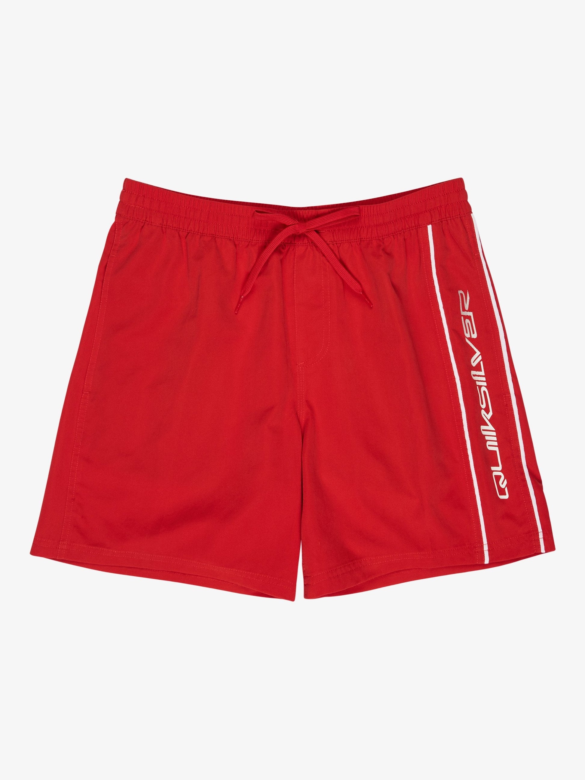 Mens Everyday Volley 17" Swim Shorts - Quiksilver Singapore 