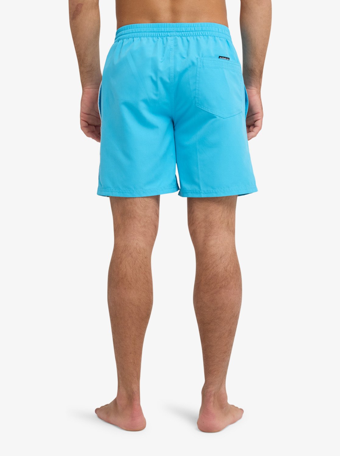 Mens Everyday 17" Swim Shorts - Quiksilver Singapore 