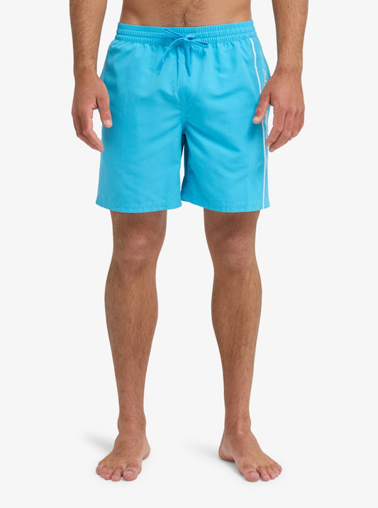 Mens Everyday 17" Swim Shorts - Quiksilver Singapore 