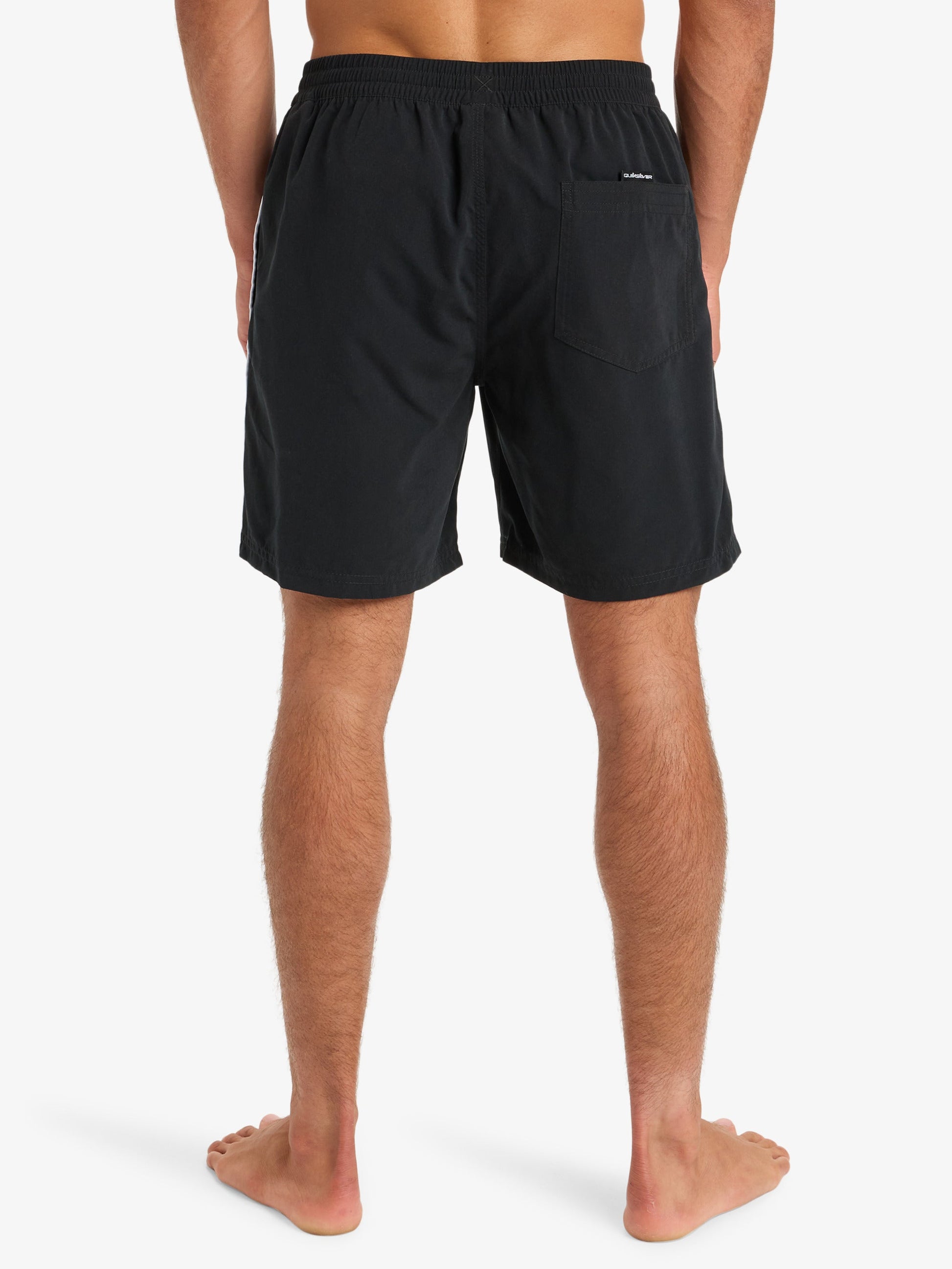 Mens Everyday Vert 17" Swim Shorts - Quiksilver Singapore 