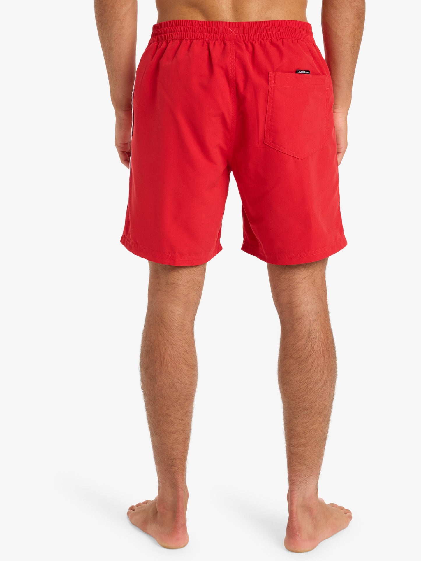 Mens Everyday Volley 17" Swim Shorts - Quiksilver Singapore 