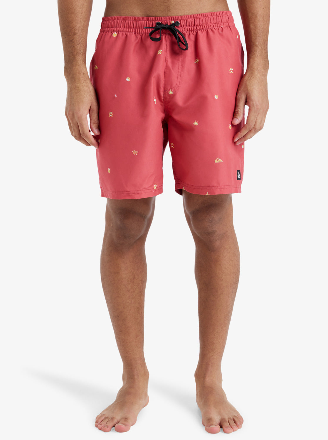 Mens Everyday 17" Swim Shorts - Quiksilver Singapore 