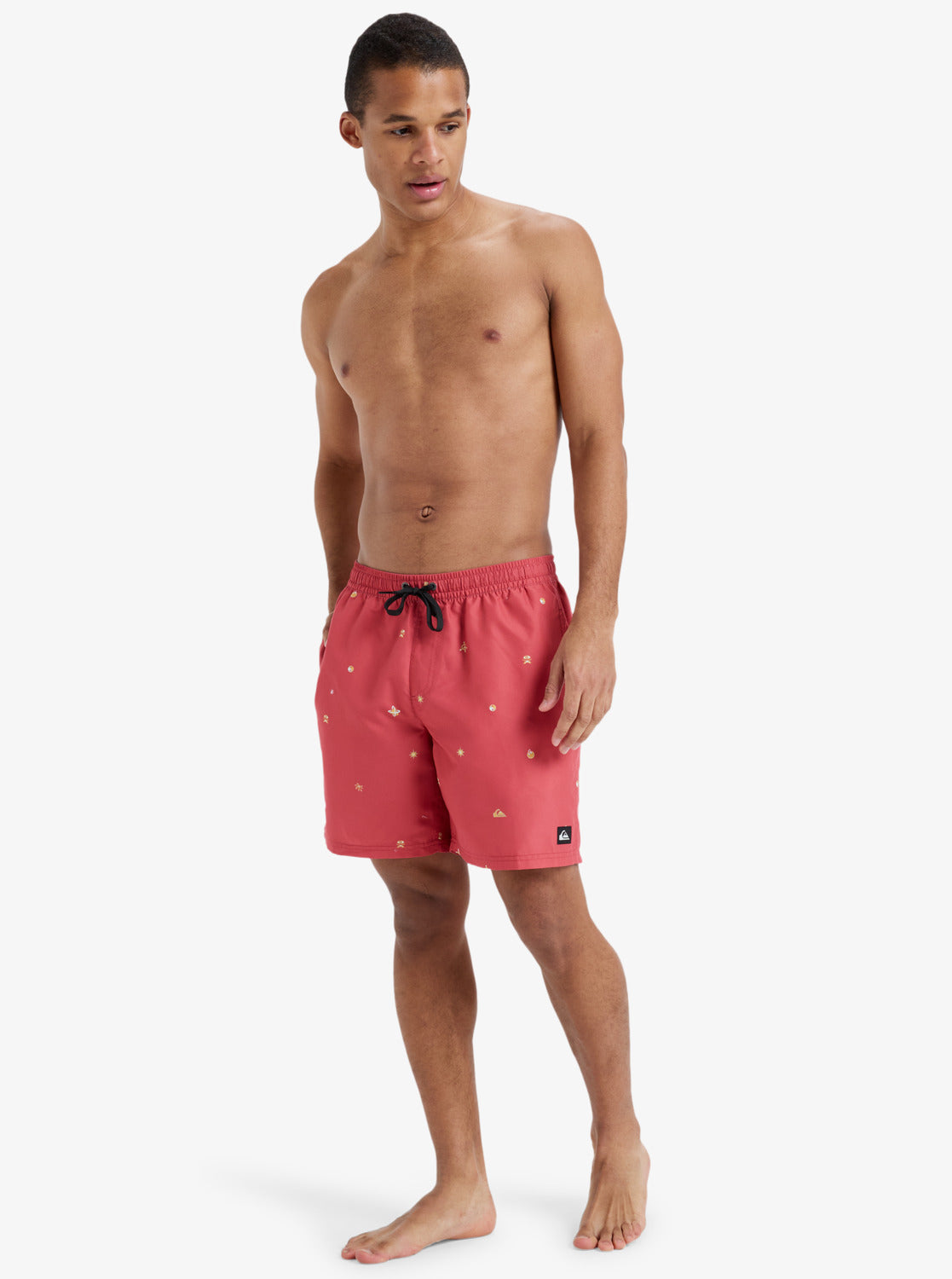 Mens Everyday 17" Swim Shorts - Quiksilver Singapore 