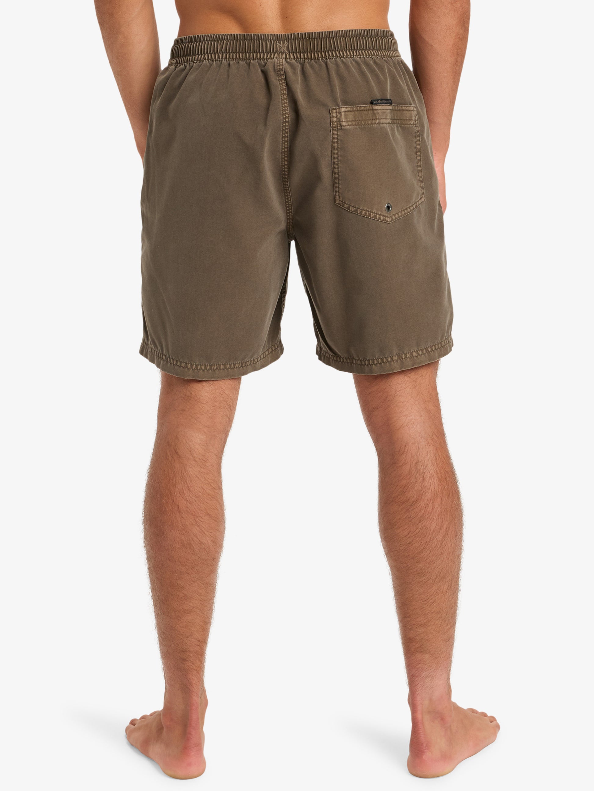 Mens Everyday Surfwash 17" Swim Shorts - Quiksilver Singapore 
